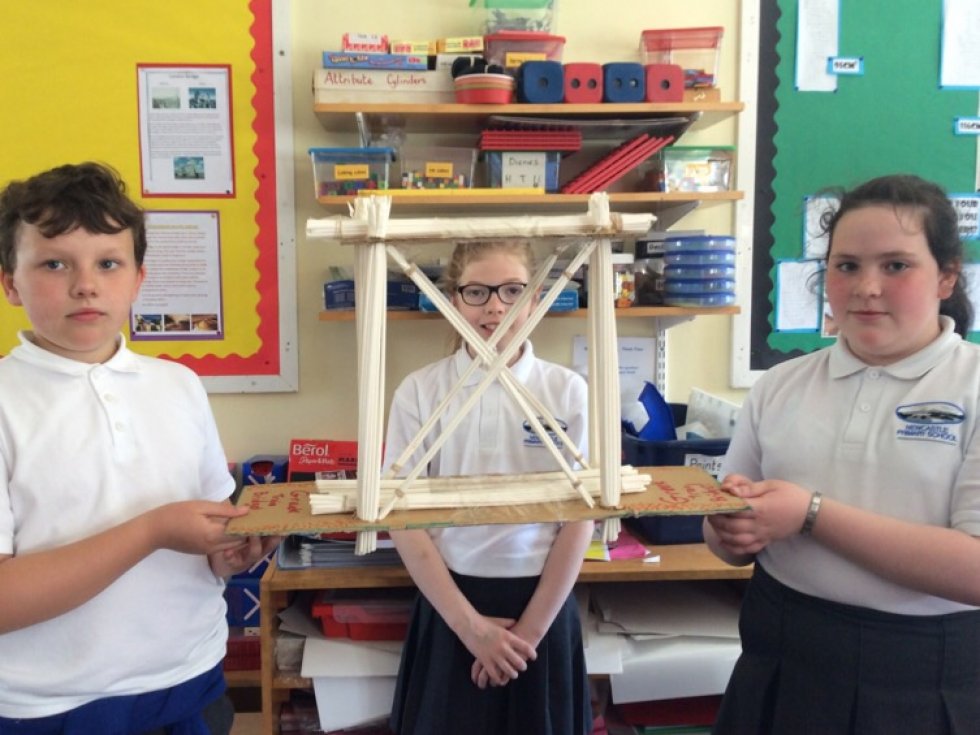 Welcome to the P6 page!